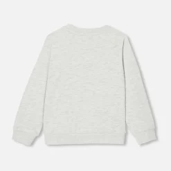 Boy fleece sweatshirt