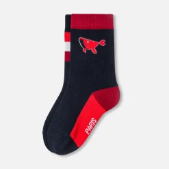 Boy pair of socks