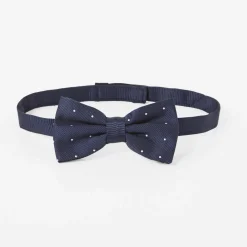 Polka dot bow tie